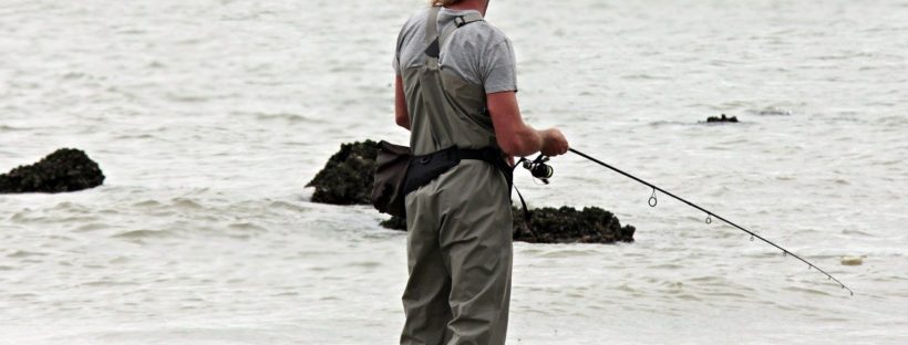 sea leisure fish