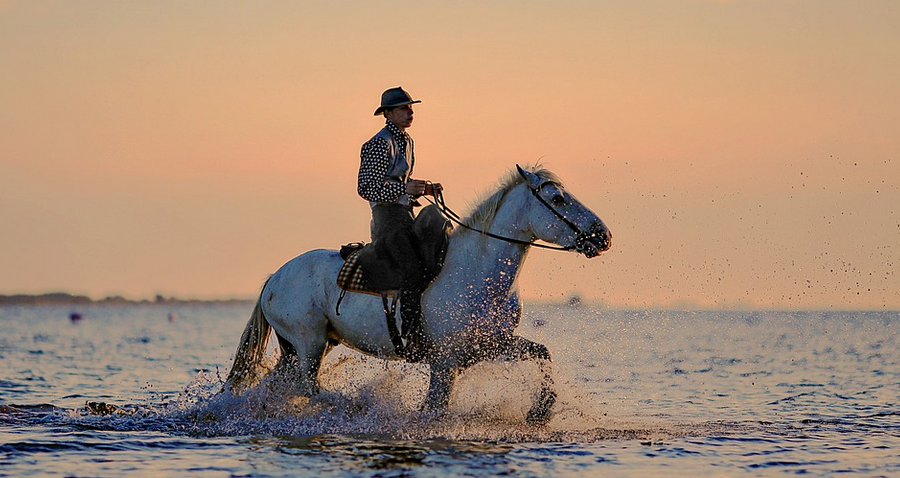 horse back riding