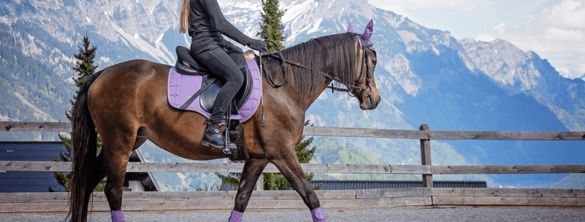 horse riding